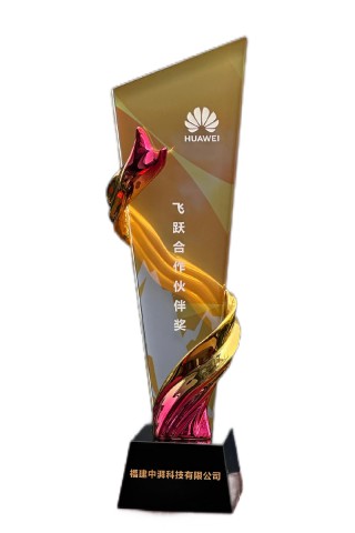 华为飞跃合作伙伴奖