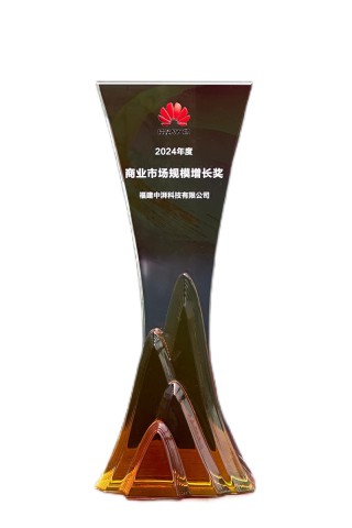 华为商业市场规模增长奖